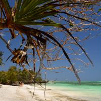 Unguja Lodge Beach Zanzibar