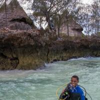 unguja lodge diving